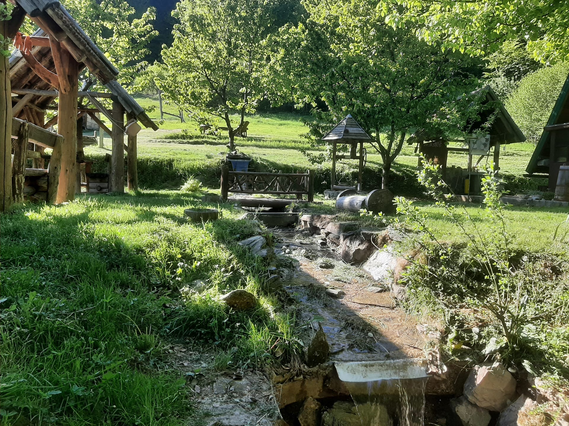 Kamp Lisin